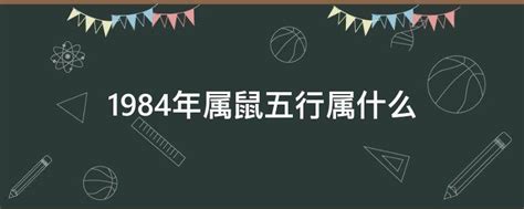 1984年五行属什么|84年属鼠是什么命 84年属鼠的人和什么属相合